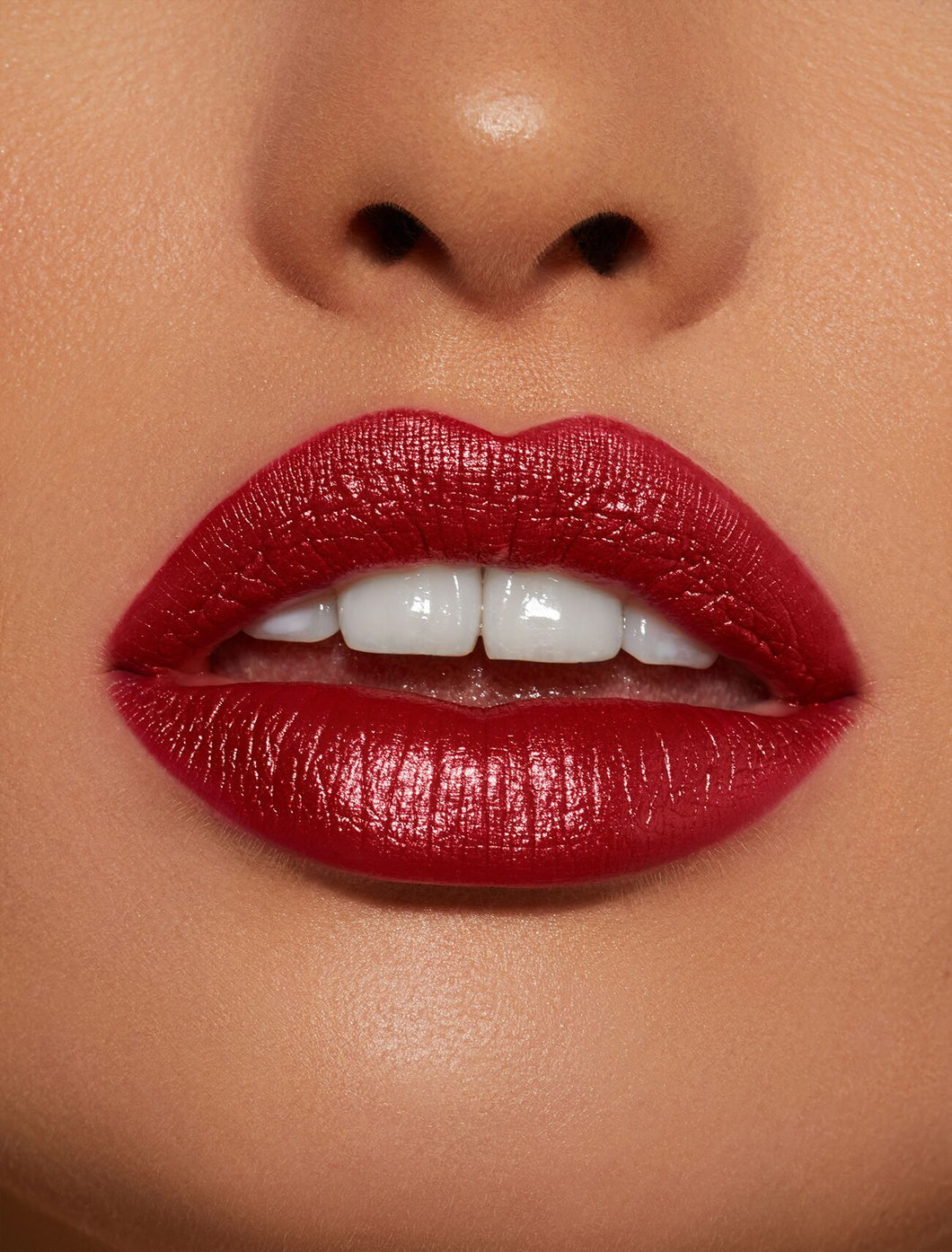 Naughty Is The New Nice | Metal Lip Kit